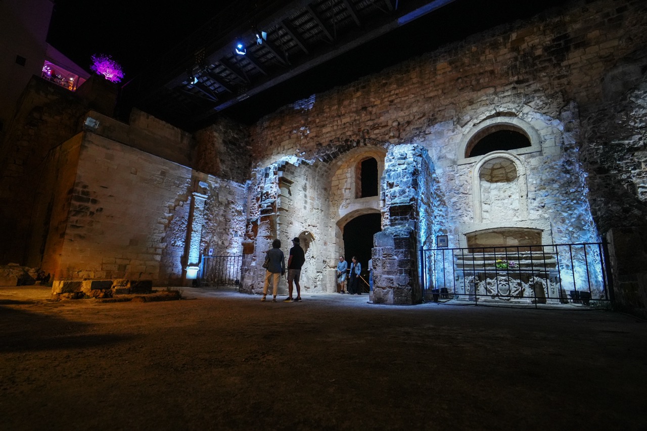 GSP03921 - dimensioni grandi